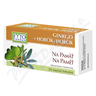 Ginkgo+Hořčík na paměť tob.30 Fytopharma