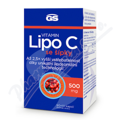 GS Vitamin Lipo C 500mg se šípky cps.90+10